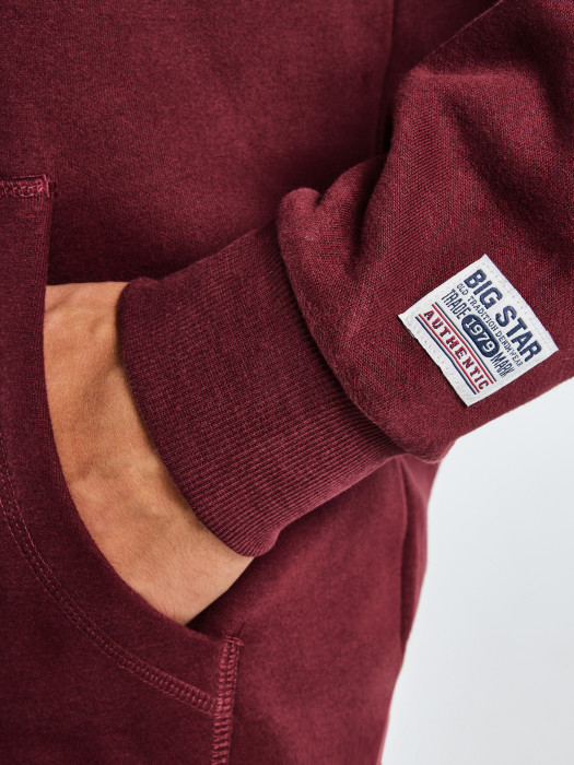 Pánska mikina KAROL 604